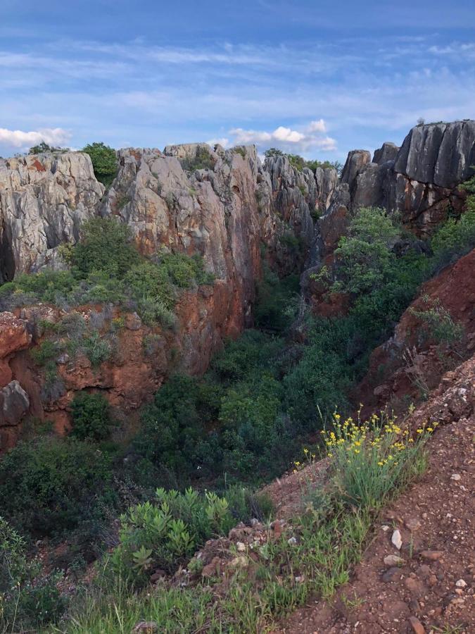 Vila El Venero San Nicolás del Puerto Exteriér fotografie